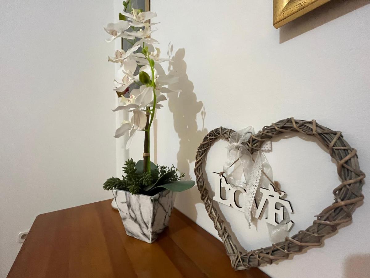 Apartman Love سراييفو المظهر الخارجي الصورة
